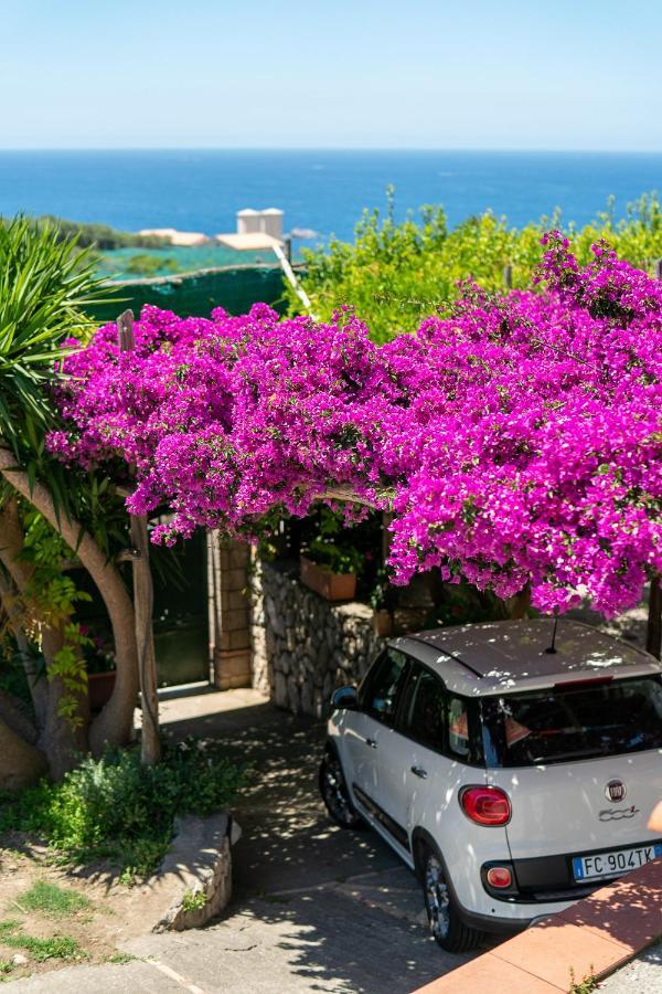 Villa Lorelei Massa Lubrense Εξωτερικό φωτογραφία