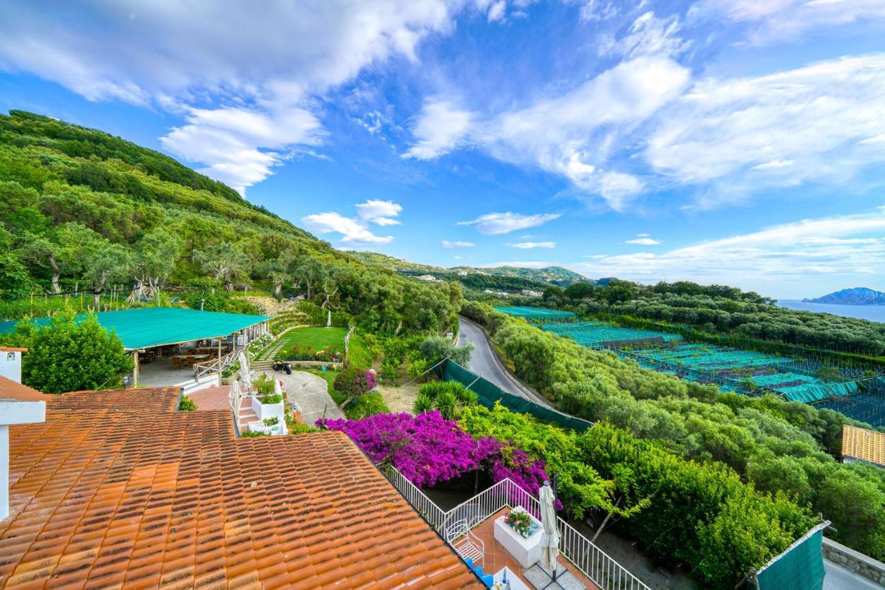Villa Lorelei Massa Lubrense Εξωτερικό φωτογραφία