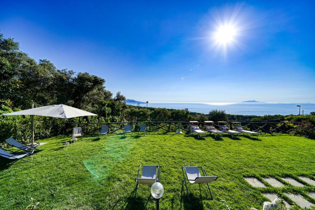 Villa Lorelei Massa Lubrense Εξωτερικό φωτογραφία