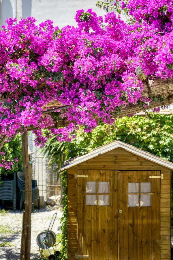 Villa Lorelei Massa Lubrense Εξωτερικό φωτογραφία